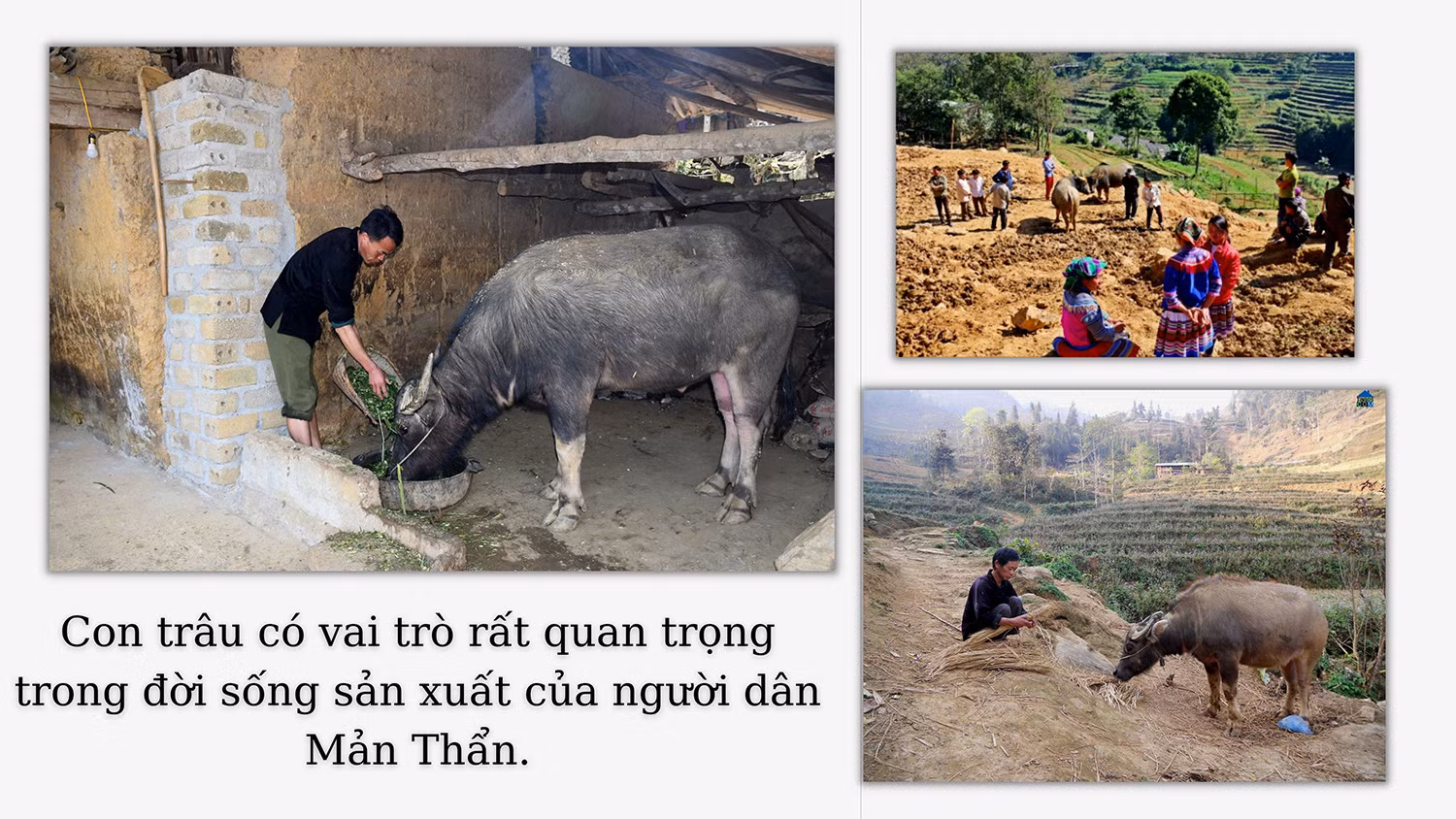 “Bảo hiểm” của người dân Mản Thẩn ảnh 3