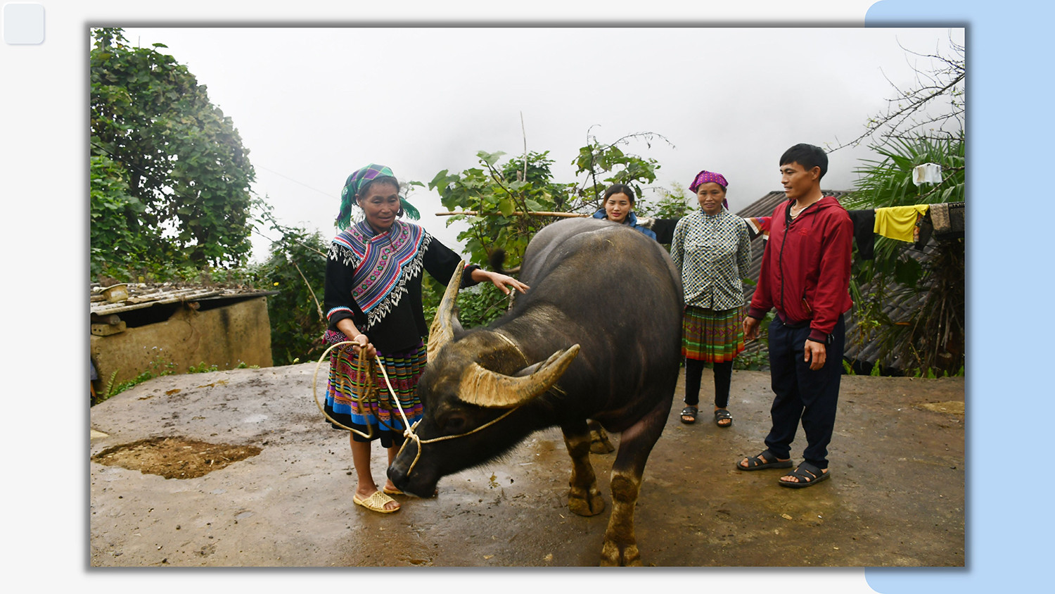 “Bảo hiểm” của người dân Mản Thẩn ảnh 4 “Bảo hiểm” của người dân Mản Thẩn ảnh 4
