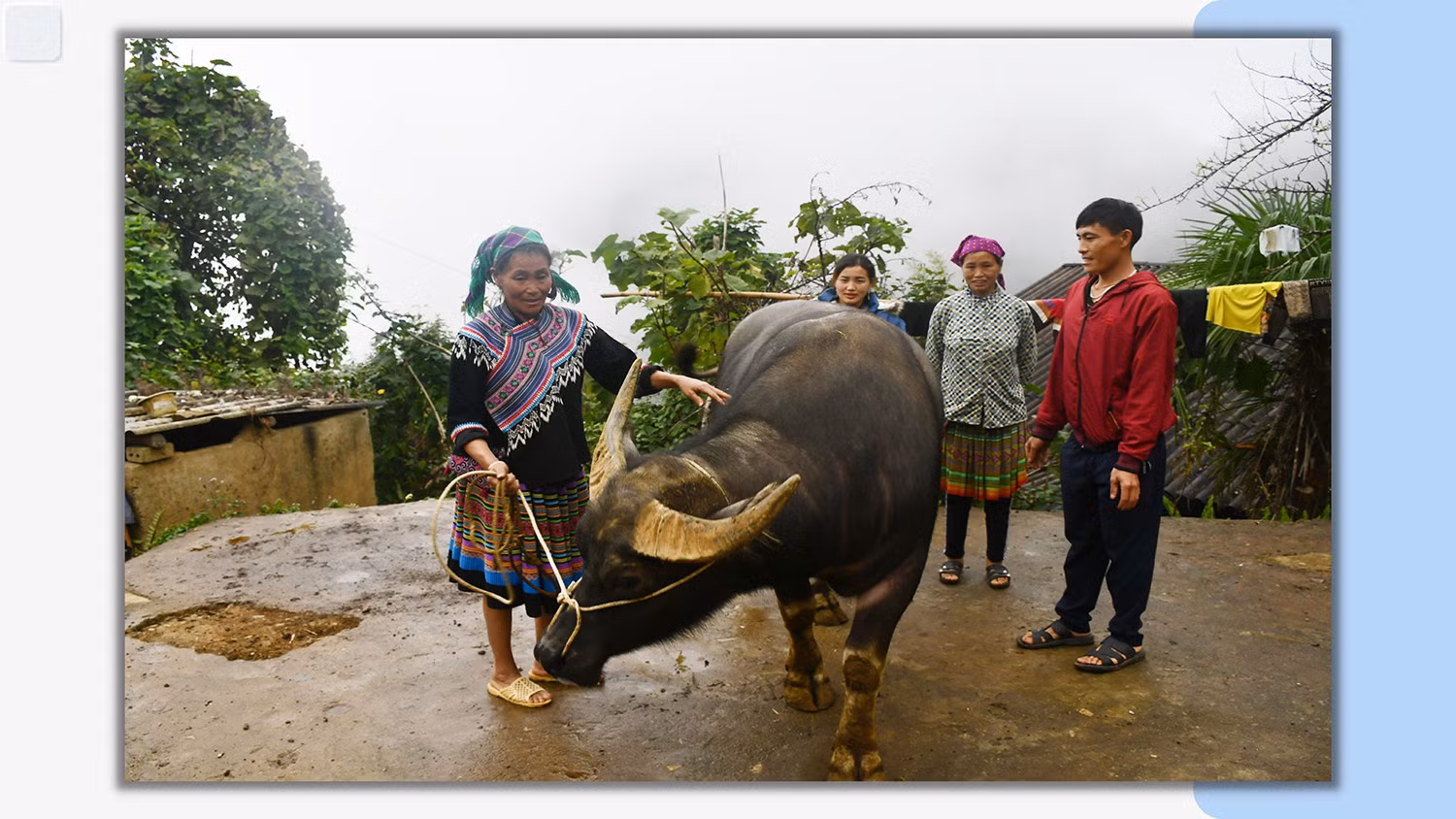 “Bảo hiểm” của người dân Mản Thẩn ảnh 4