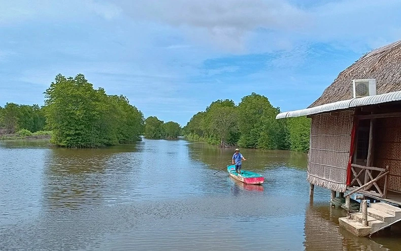Du lịch sinh thái rừng ngập mặn nơi Đất Mũi ảnh 2