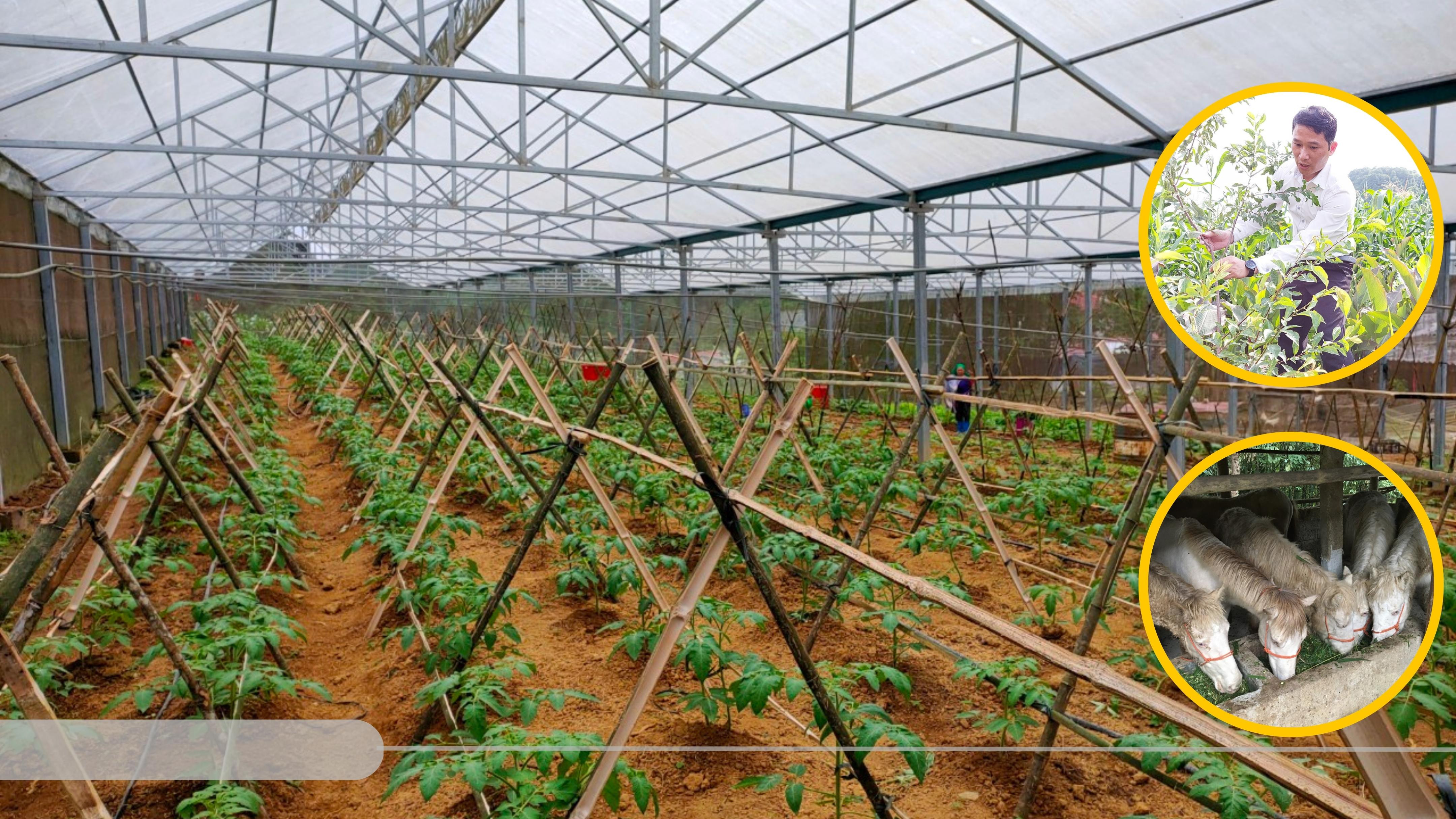 Sín Chéng: Cần lên “dây cót” trong xây dựng nông thôn mới ảnh 3 Sín Chéng: Cần lên “dây cót” trong xây dựng nông thôn mới ảnh 3