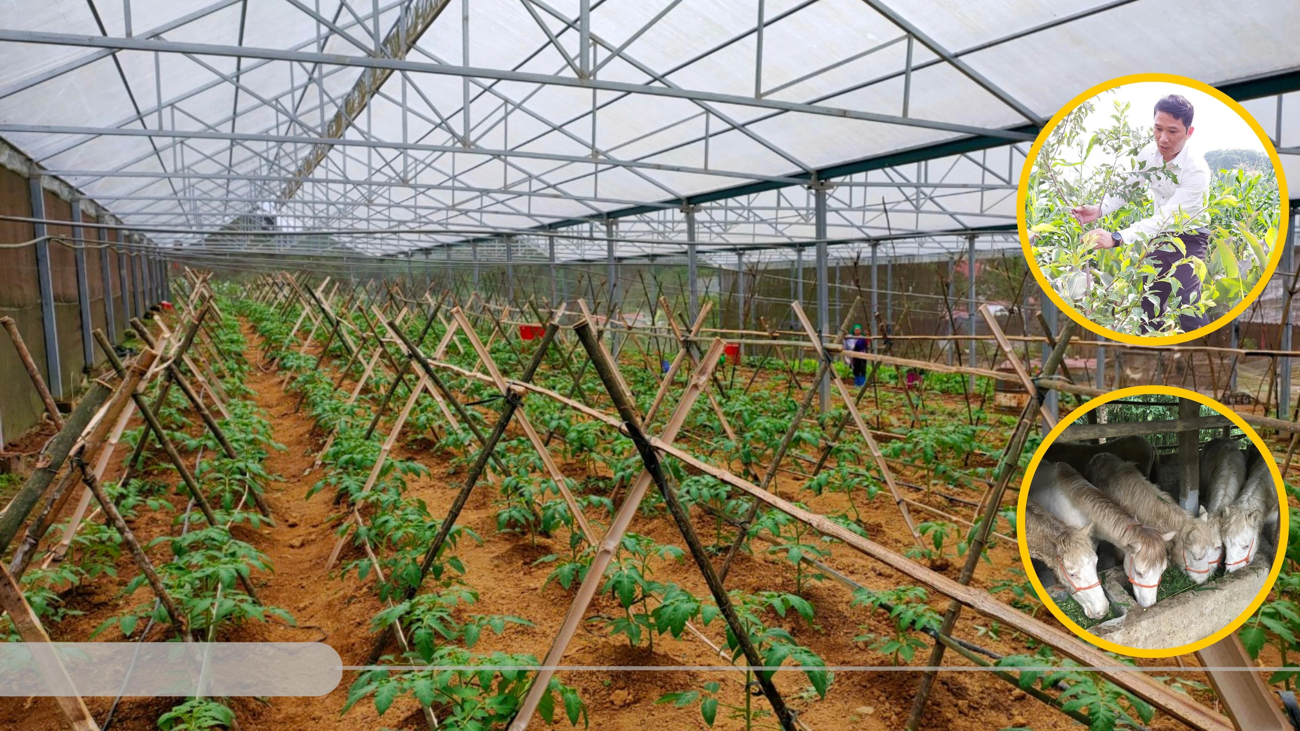 Sín Chéng: Cần lên “dây cót” trong xây dựng nông thôn mới ảnh 3