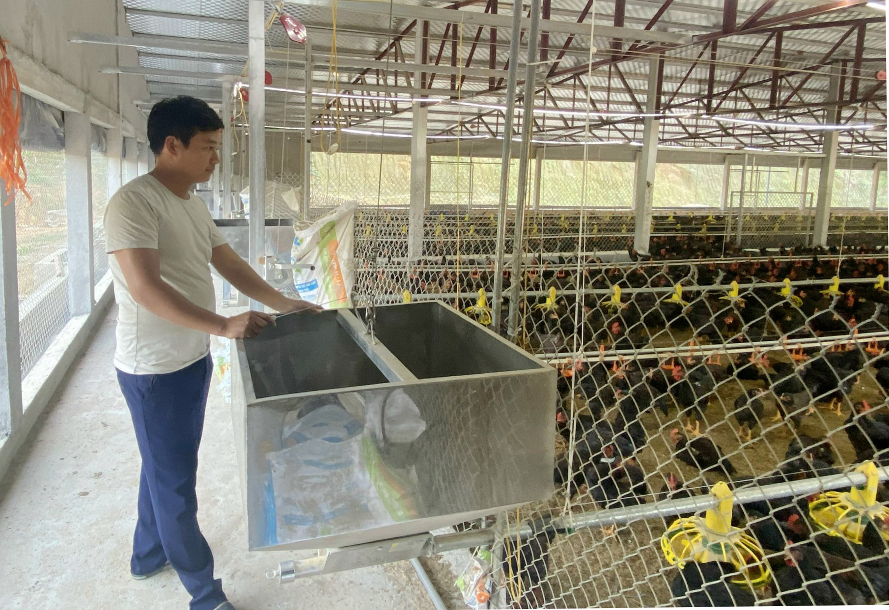 Anh Phạm Văn Quyết, thôn Cốc Sâm 4, xã Phong Niên vận hành hệ thống cho ăn tự động. Anh Phạm Văn Quyết, thôn Cốc Sâm 4, xã Phong Niên vận hành hệ thống cho ăn tự động.