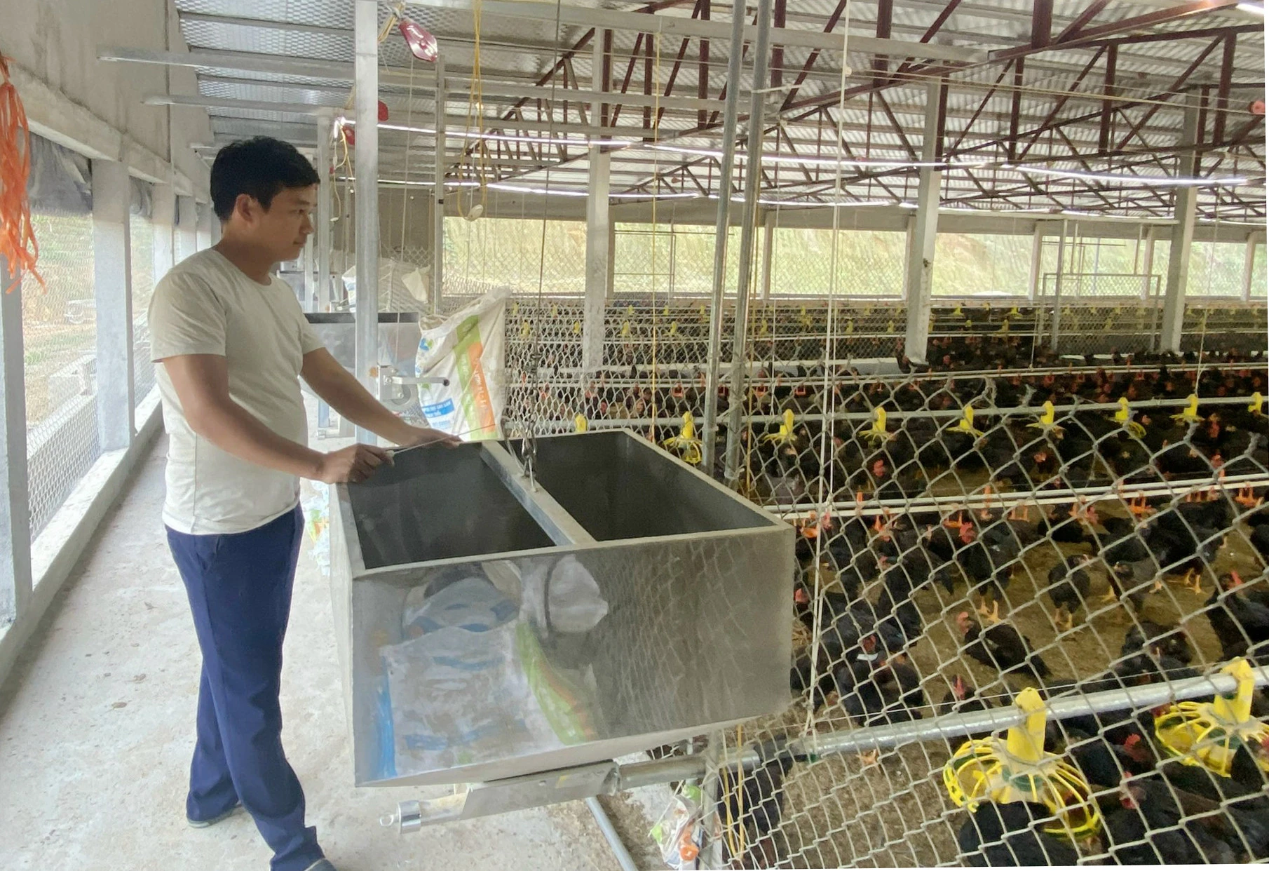 Anh Phạm Văn Quyết, thôn Cốc Sâm 4, xã Phong Niên vận hành hệ thống cho ăn tự động.