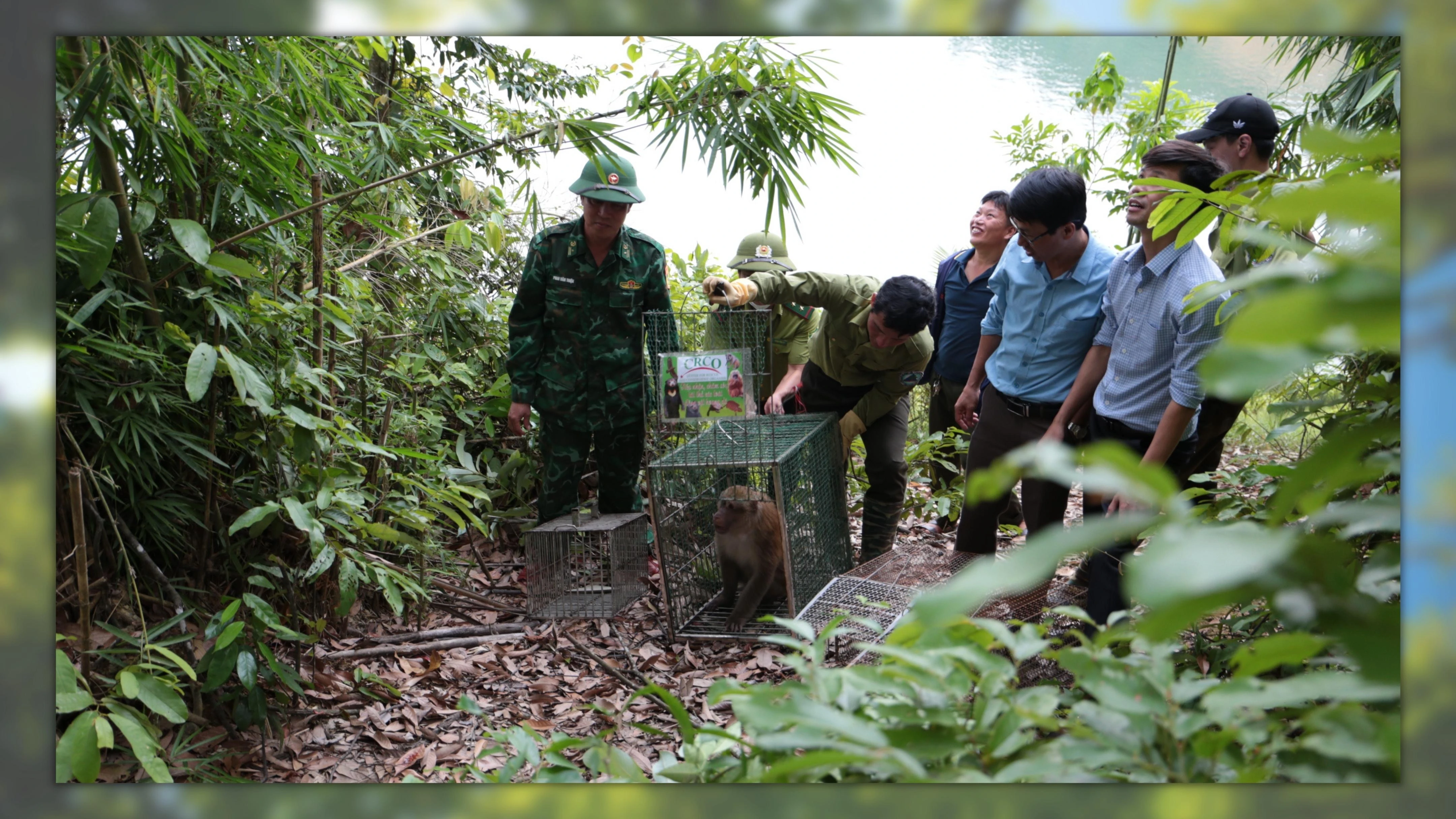 “Ân nhân” của động vật hoang dã ảnh 5