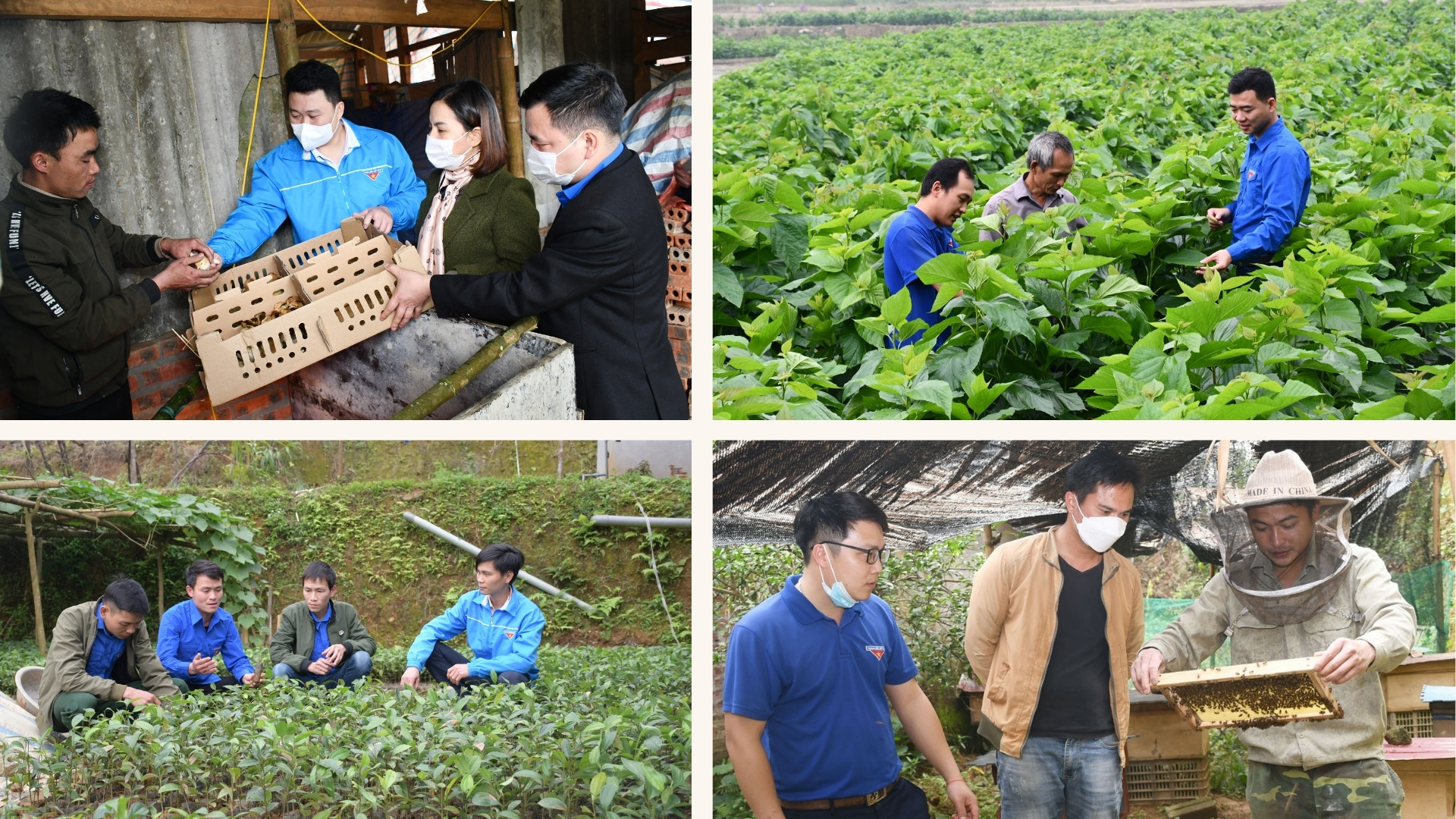 Học và làm theo Bác ngày càng được nhân rộng trong đoàn viên, thanh niên ảnh 9 Học và làm theo Bác ngày càng được nhân rộng trong đoàn viên, thanh niên ảnh 9