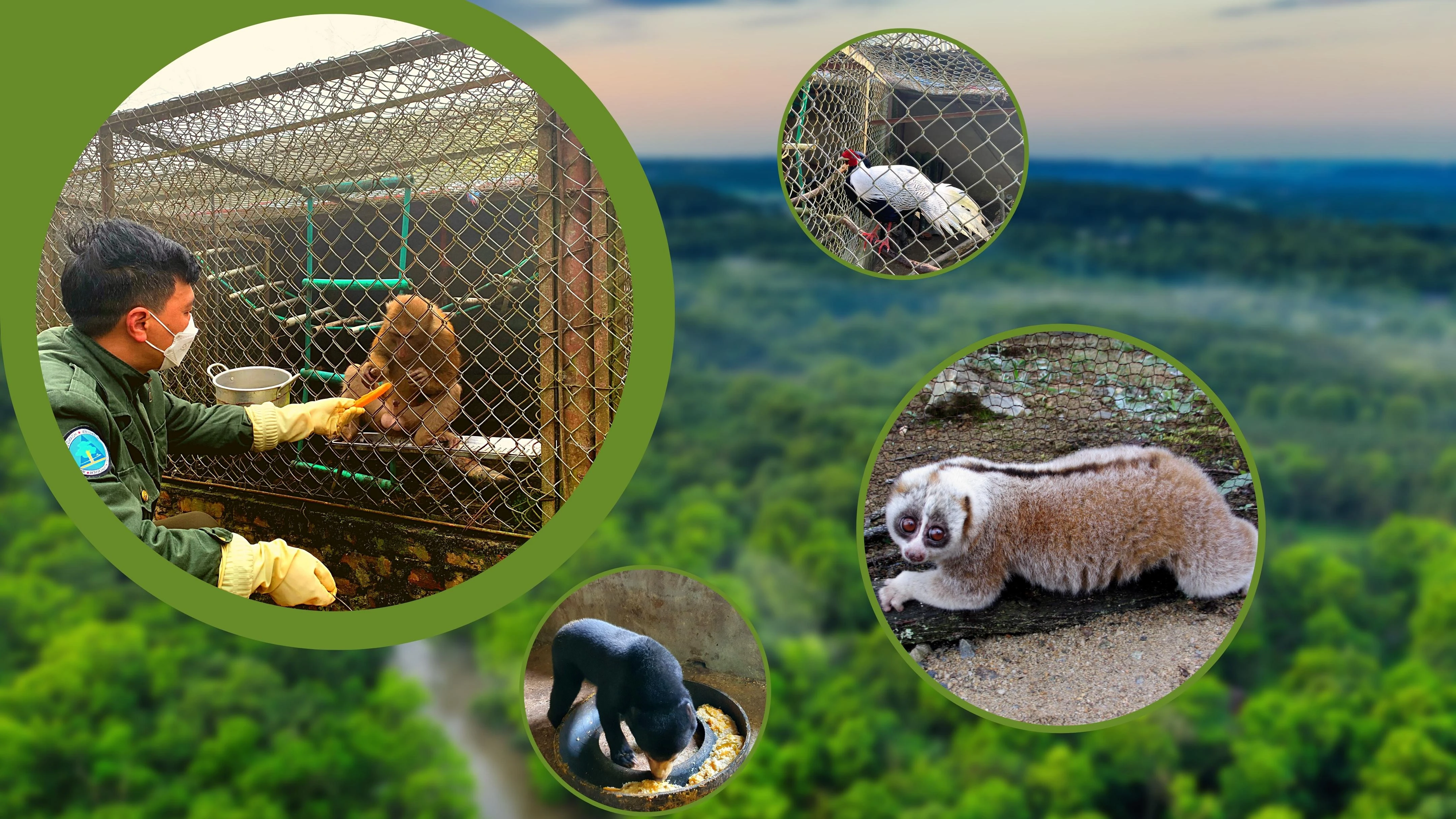 “Ân nhân” của động vật hoang dã ảnh 1