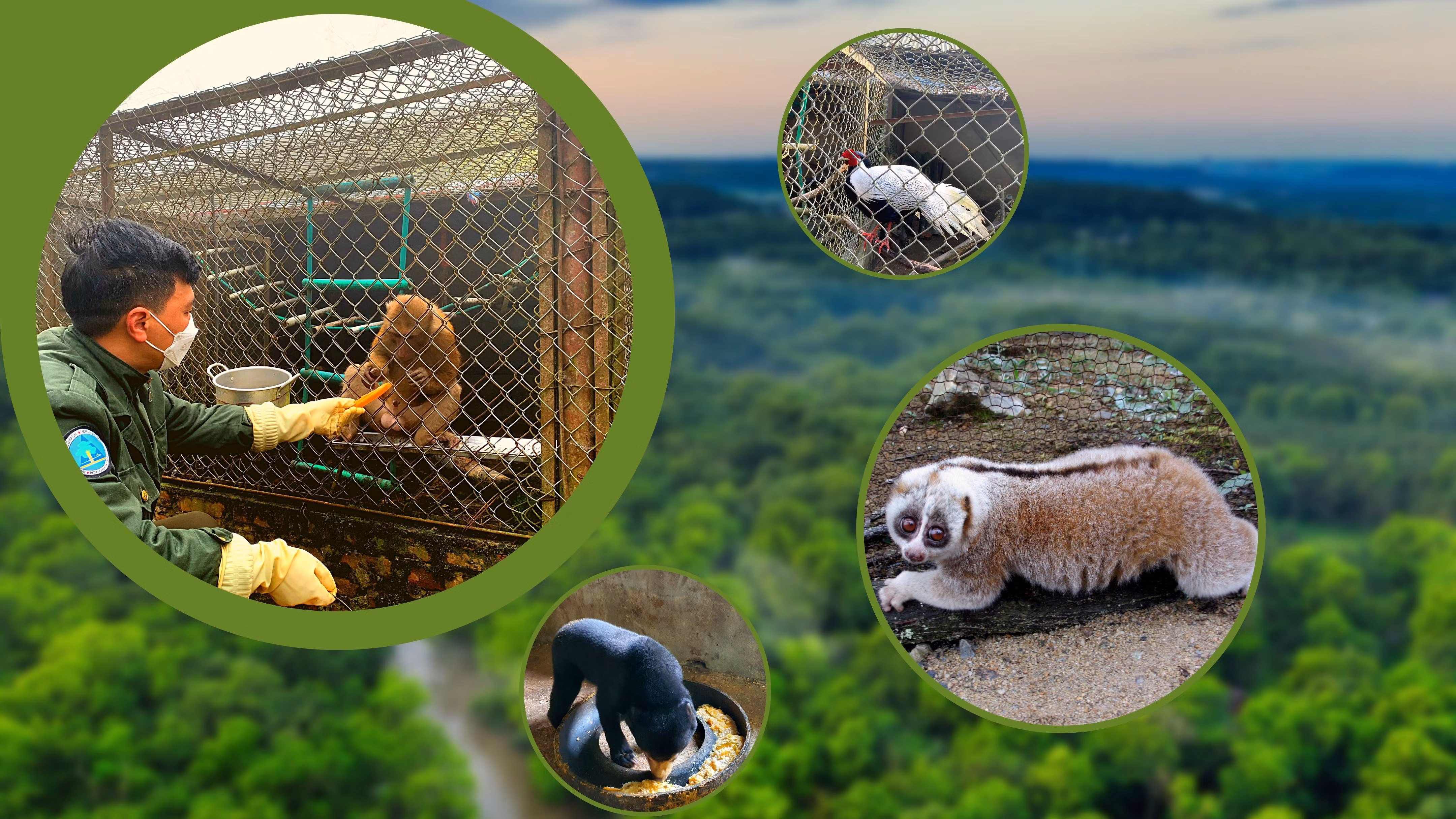 “Ân nhân” của động vật hoang dã ảnh 1 “Ân nhân” của động vật hoang dã ảnh 1