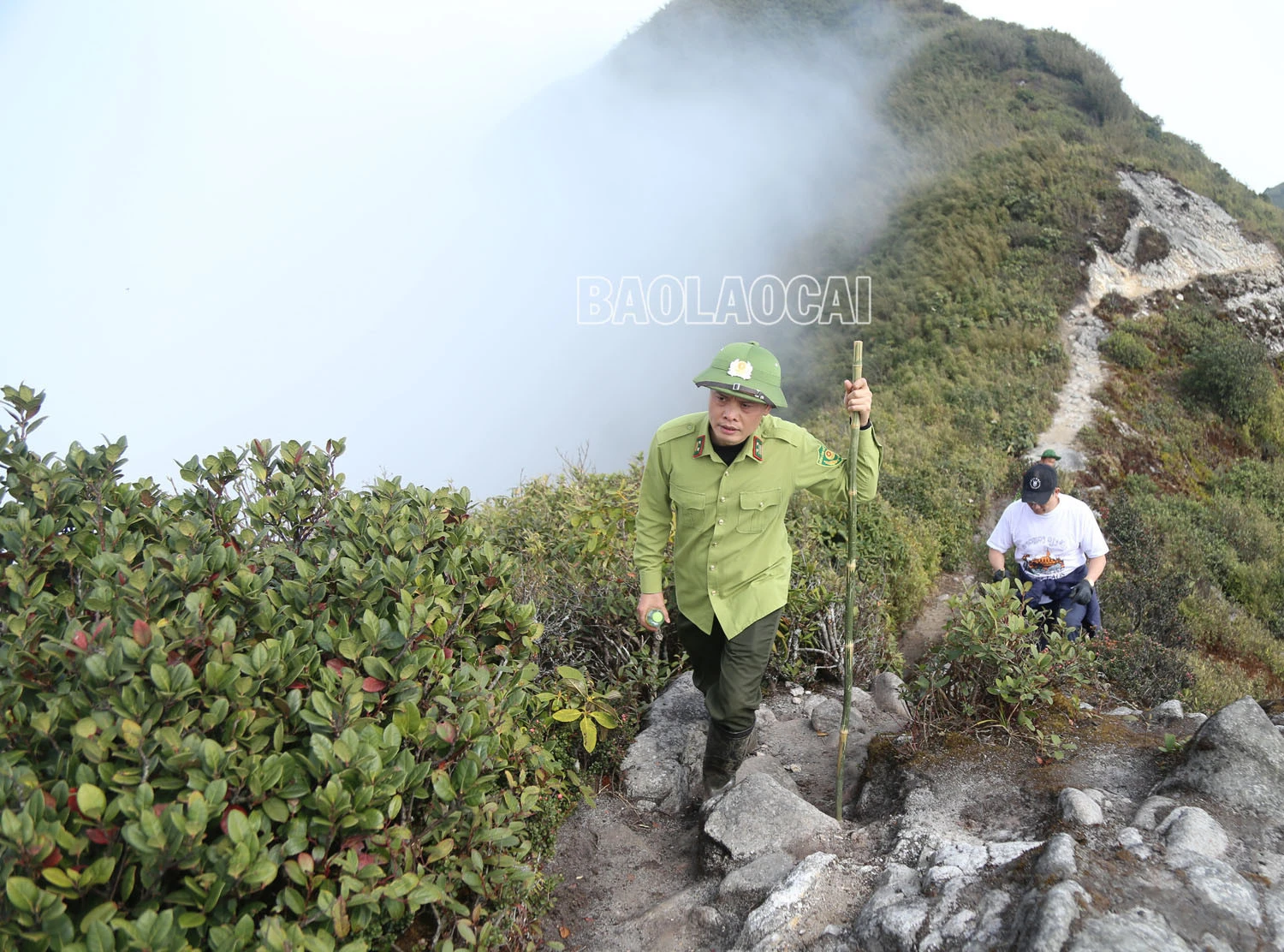 Chinh phục đỉnh Ky Quan San ảnh 8 Chinh phục đỉnh Ky Quan San ảnh 8