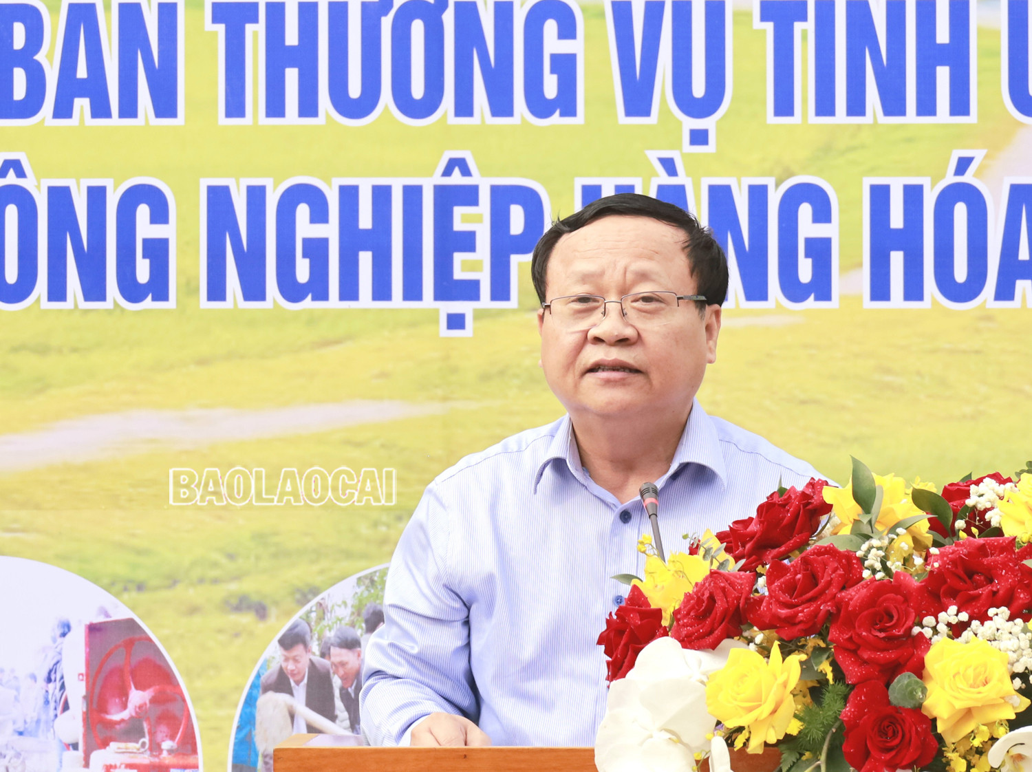 UBND tỉnh phát động phong trào thi đua xây dựng nông thôn mới và sản xuất nông nghiệp hàng hóa ảnh 2