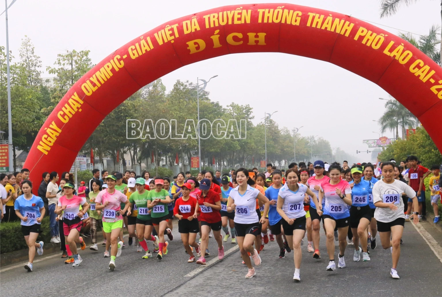 Hơn 1.200 vận động viên tham gia Ngày chạy Olympic vì sức khỏe toàn dân ảnh 7