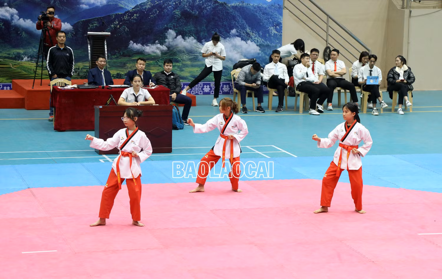 Gần 300 vận động viên tham dự Giải Taekwondo các lứa tuổi trẻ tỉnh Lào Cai năm 2023 ảnh 5 Gần 300 vận động viên tham dự Giải Taekwondo các lứa tuổi trẻ tỉnh Lào Cai năm 2023 ảnh 5