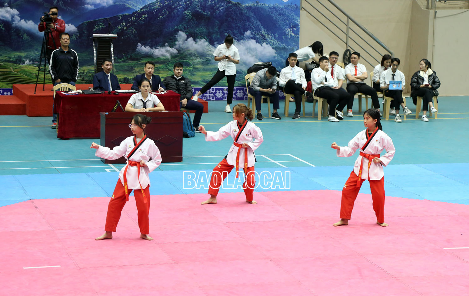 Gần 300 vận động viên tham dự Giải Taekwondo các lứa tuổi trẻ tỉnh Lào Cai năm 2023 ảnh 5