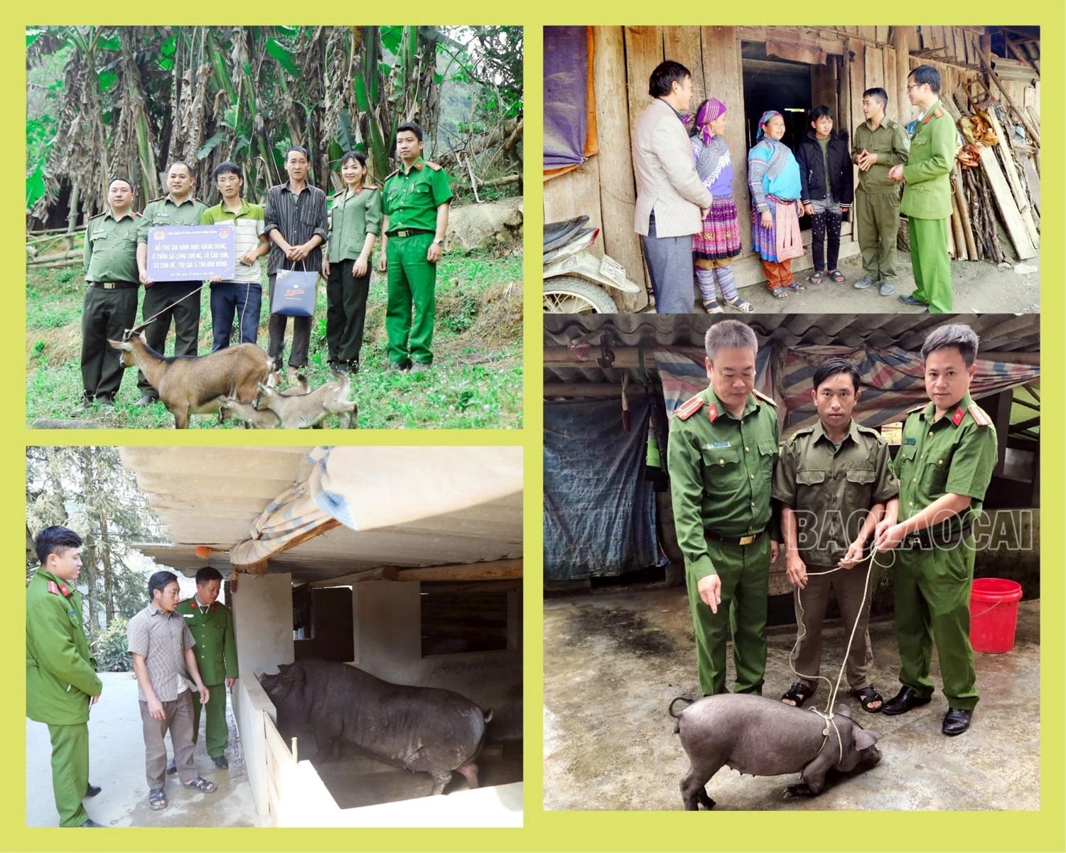 Đoàn Thanh niên Công an huyện Mường Khương hỗ trợ vật nuôi cho công an bán chuyên trách có hoàn cảnh khó khăn.