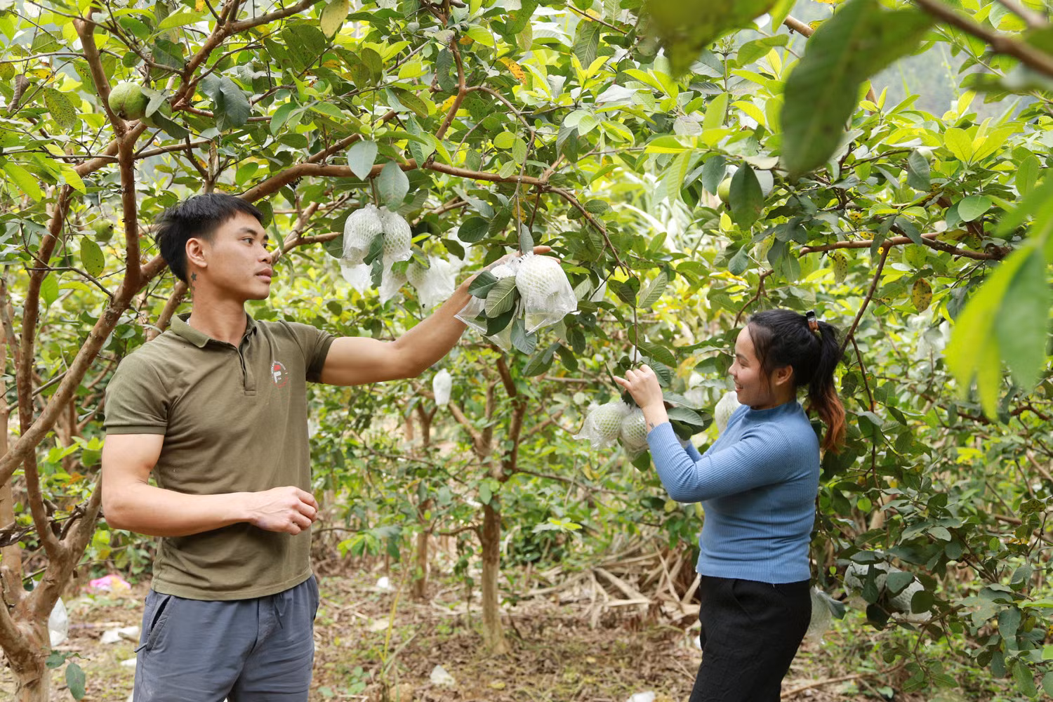 Dấn thân khởi nghiệp - chuyện của người trẻ hôm nay ảnh 2