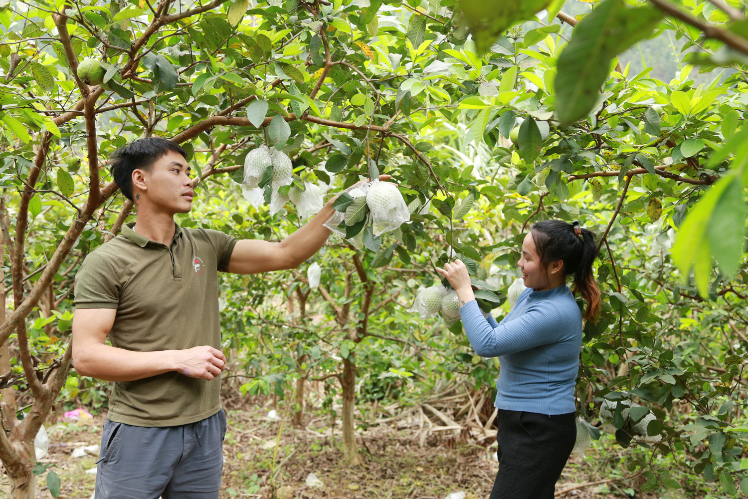 Dấn thân khởi nghiệp - chuyện của người trẻ hôm nay ảnh 2