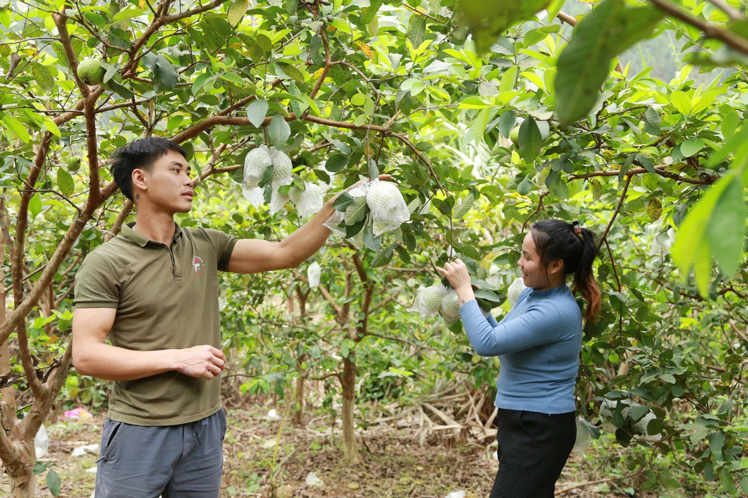 Dấn thân khởi nghiệp - chuyện của người trẻ hôm nay ảnh 2