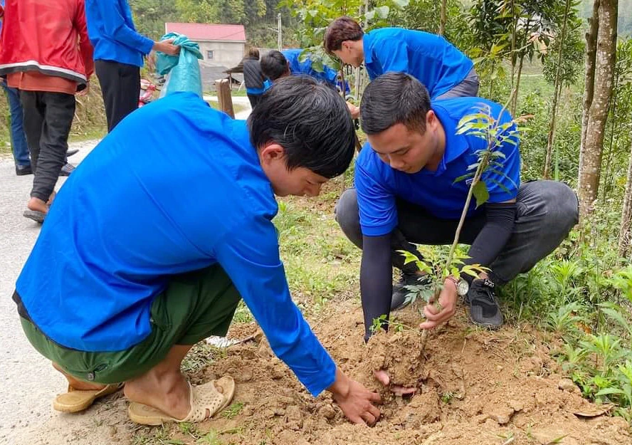 Đoàn viên, thanh niên trong tỉnh có nhiều hoạt động tình nguyện ý nghĩa vì cộng đồng.