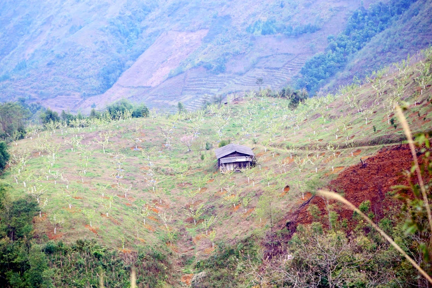 Niềm vui mới ở Kin Chu Phìn ảnh 2