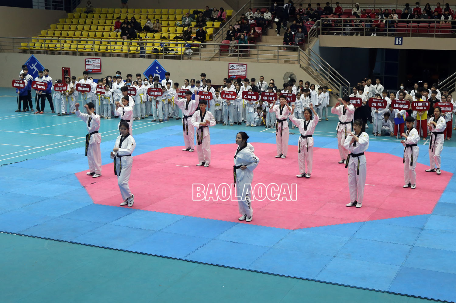Gần 300 vận động viên tham dự Giải Taekwondo các lứa tuổi trẻ tỉnh Lào Cai năm 2023 ảnh 1