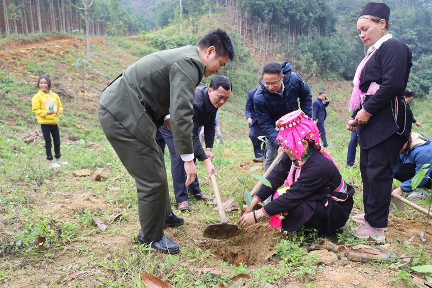 Người dân thôn Làng Ẻn chuẩn bị lễ vật cúng rừng. Người dân trong thôn cùng rước lễ vật để cúng rừng đầu năm. Lễ cúng được tổ chức tại khu rừng cấm của thôn. Sau lễ cúng rừng, người dân cùng tổ chức trồng cây để khởi đầu cho năm mới nhiều may mắn. Hát đối và ném còn là nét đẹp văn hóa của đồng bào Dao tuyển duy trì mỗi dịp lễ hội. Trò chơi dân gian được tổ chức trong ngày hội. Trang phục truyền thống của dân tộc Dao tuyển được lưu giữ và truyền dậy cho thế hệ sau.
