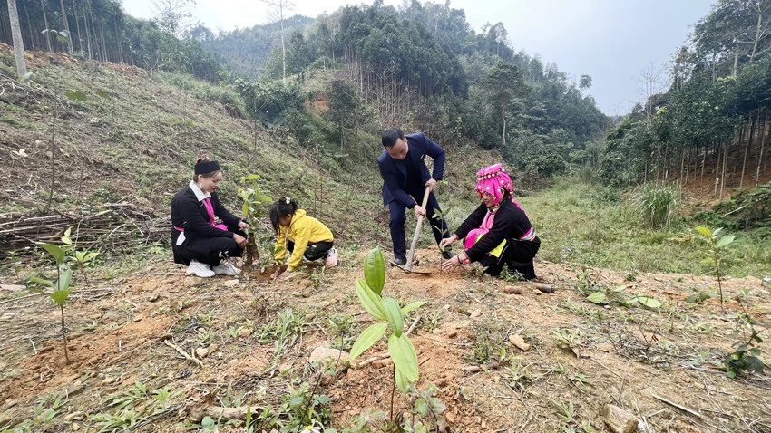Người dân thôn Làng Ẻn chuẩn bị lễ vật cúng rừng. Người dân trong thôn cùng rước lễ vật để cúng rừng đầu năm. Lễ cúng được tổ chức tại khu rừng cấm của thôn. Sau lễ cúng rừng, người dân cùng tổ chức trồng cây để khởi đầu cho năm mới nhiều may mắn. Hát đối và ném còn là nét đẹp văn hóa của đồng bào Dao tuyển duy trì mỗi dịp lễ hội. Trò chơi dân gian được tổ chức trong ngày hội. Trang phục truyền thống của dân tộc Dao tuyển được lưu giữ và truyền dậy cho thế hệ sau.