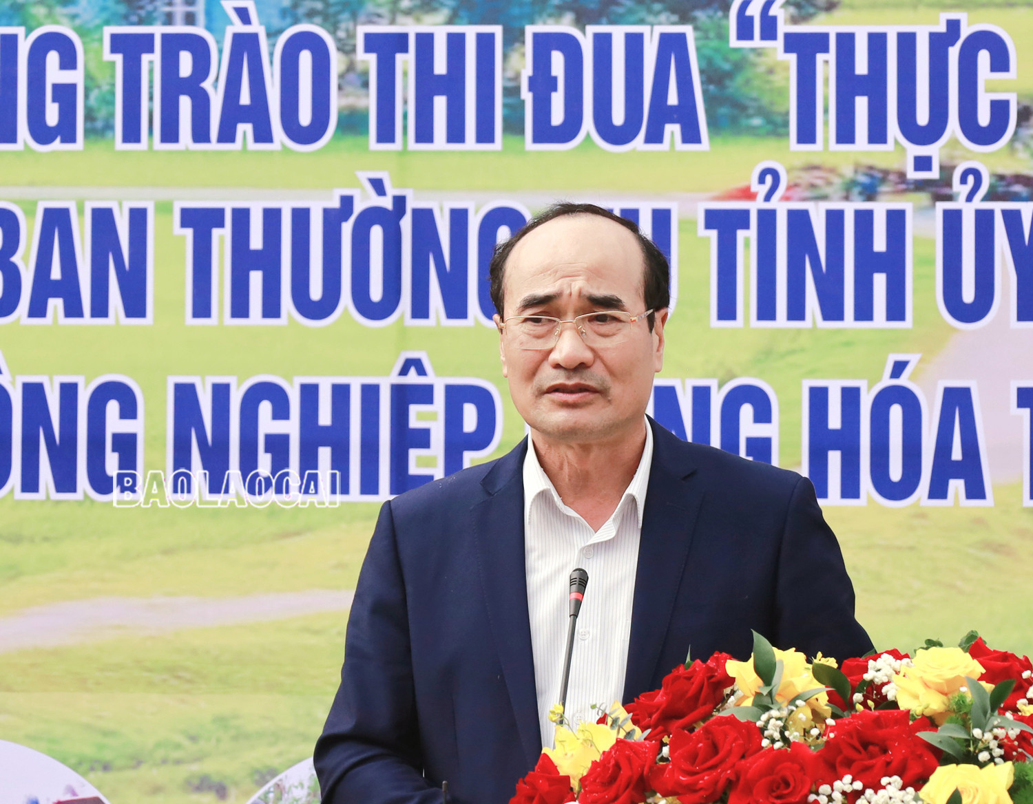 UBND tỉnh phát động phong trào thi đua xây dựng nông thôn mới và sản xuất nông nghiệp hàng hóa ảnh 3