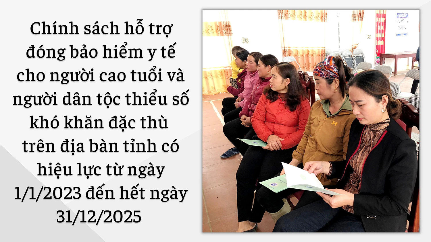 Chính sách an sinh ý nghĩa cho người cao tuổi ảnh 2