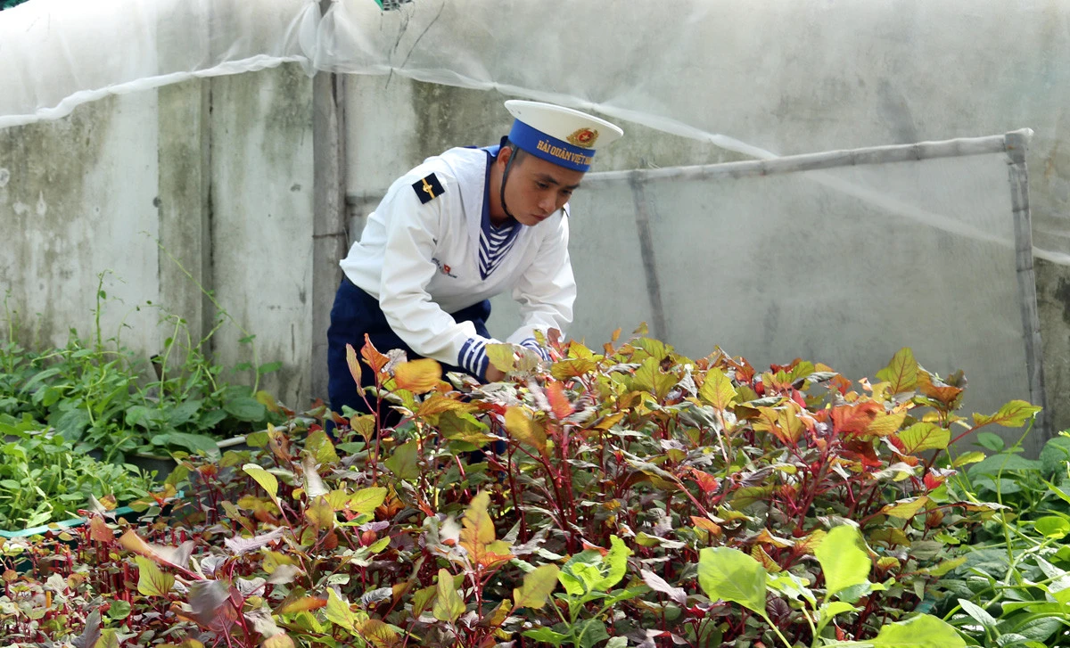 Đón Tết sớm ở tuyến đảo tiền tiêu Cô Lin - Len Đao ảnh 5