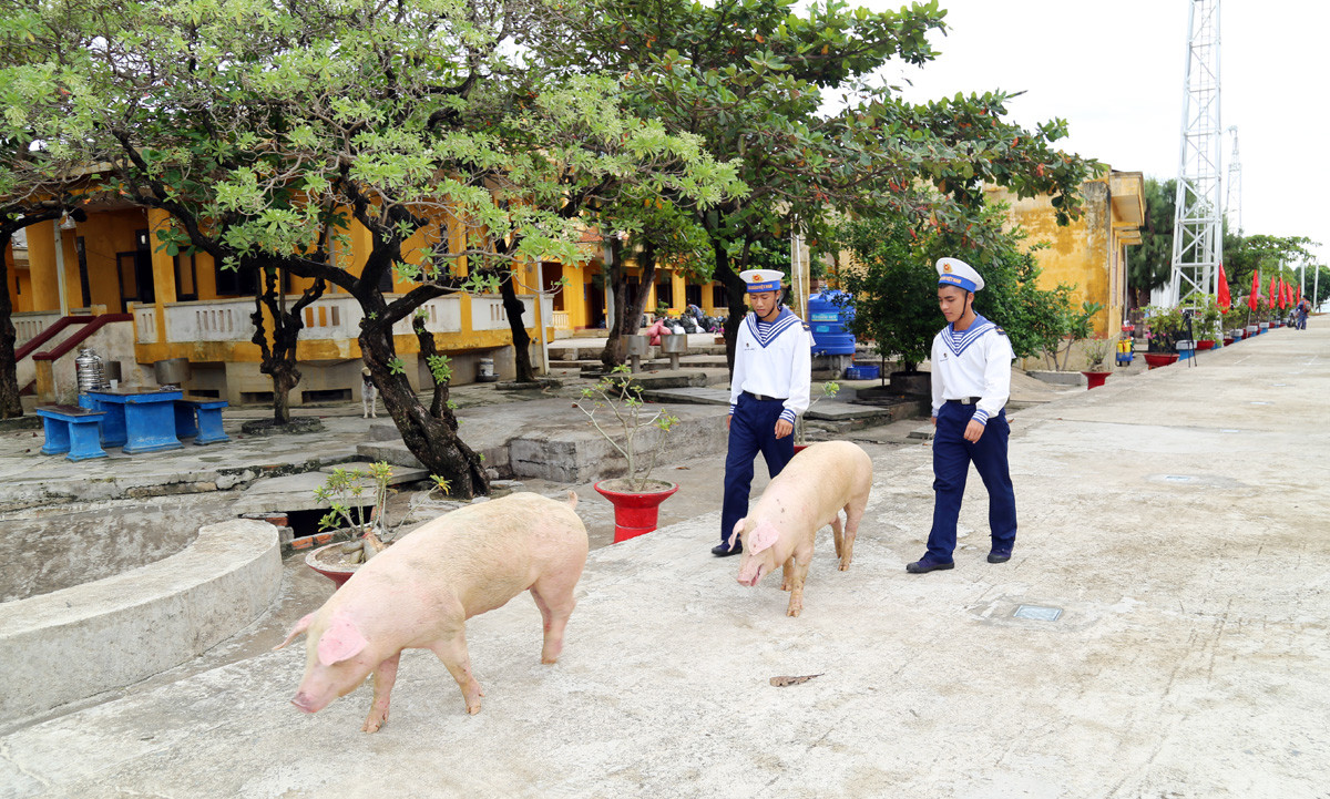 Cán bộ, chiến sỹ đảo Sinh Tồn Đông đón đoàn công tác của Lữ đoàn 146 lên thăm và chúc Tết Nguyên đán Quý Mão 2023. Cán bộ, chiến sỹ đảo Sinh Tồn Đông vận chuyển hàng tết từ cầu tàu vào trung tâm đảo. Những cây quất trĩu quả vượt qua bao sóng gió đến với quân, dân đảo Sinh Tồn Đông. Cán bộ, chiến sỹ mới lên đảo trò chuyện. Đoàn công tác của Lữ đoàn 146, Vùng 4 Hải quân gặp mặt, chúc tết cán bộ, chiến sỹ trên đảo Sinh Tồn Đông. Lãnh đạo Lữ đoàn 146 trao quà tết cho cán bộ, chiến sỹ đảo Sinh Tồn Đông. Chùa Sinh Tồn Đông – cột mốc lịch sử, điểm tựa tinh thần của quân và dân xã đảo Sinh Tồn Đông. Tết này, hệ thống điện gió và điện mặt trời được cải tạo hiện đại hơn để phục vụ quân và dân trên đảo. Vườn rau tăng gia trên đảo. Dù vui xuân, đón tết nhưng nhiệm vụ canh gác bảo vệ biển, đảo vẫn được cán bộ, chiến sỹ Sinh Tồn Đông duy trì đúng quy định.