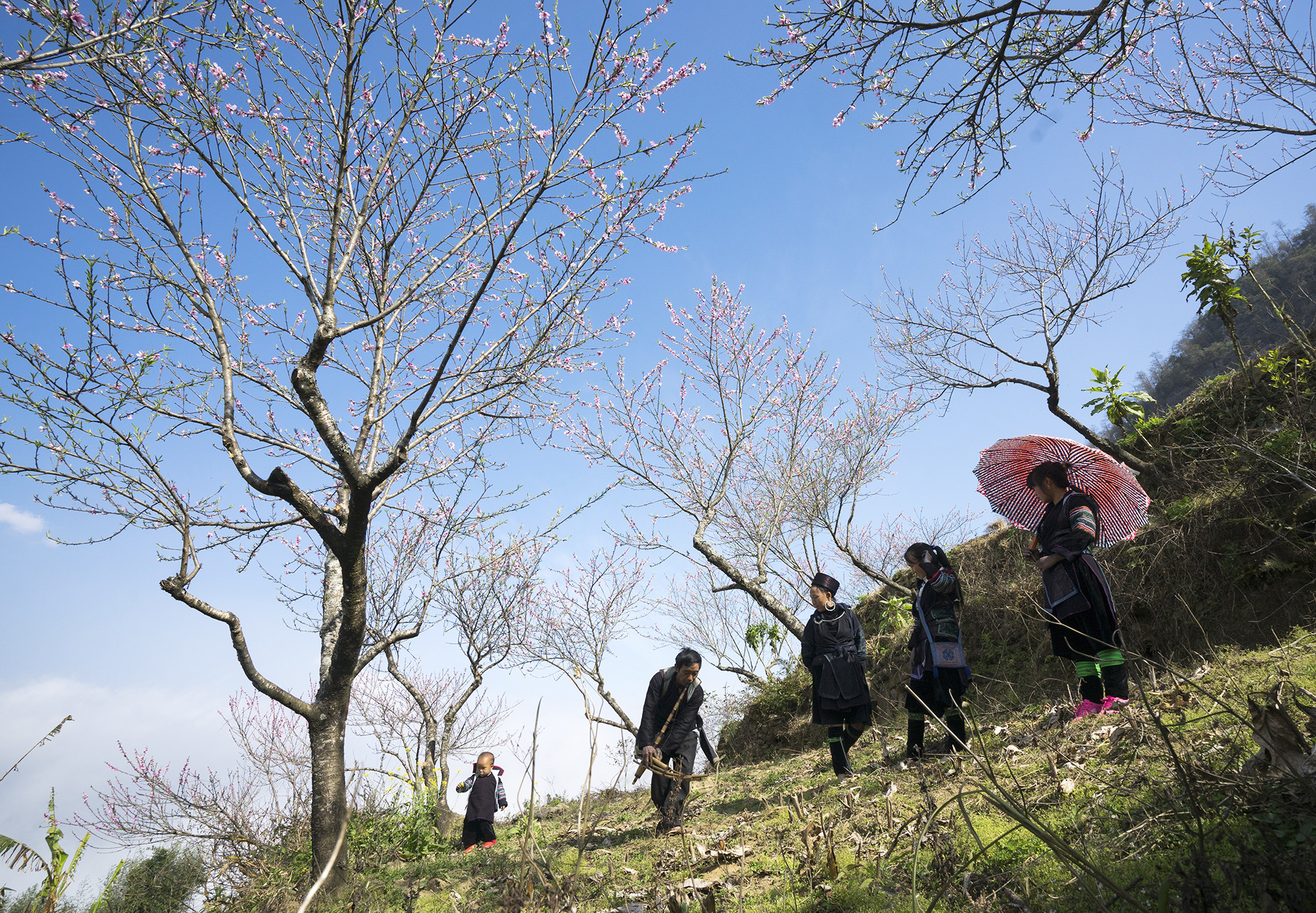 Phong tục tết đặc sắc của một số dân tộc ở Lào Cai ảnh 2