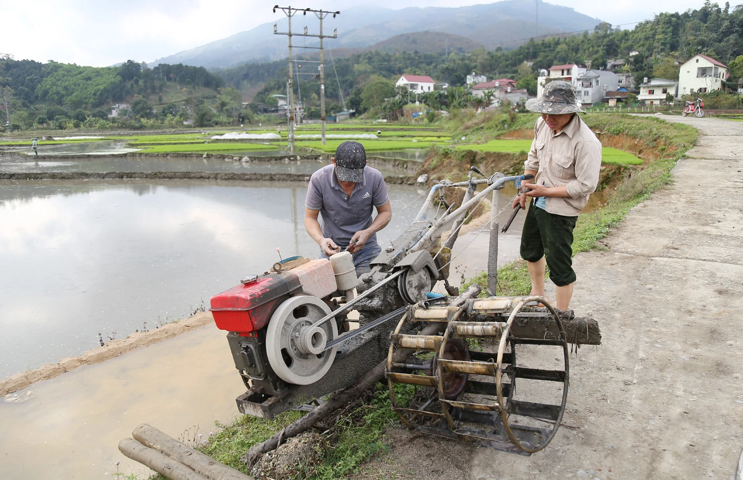 Không khí ra đồng làm đất chuẩn bị cho gieo cấy lúa xuân diễn ra nhộn nhịp trên các cánh đồng. Trên các cánh đồng của tỉnh, không khí xuống đồng hối hả, người chăm mạ, người be bờ, người lấy nước vào ruộng, chuẩn bị máy bừa ruộng. Những ngày này, trên các cánh đồng ở Bát Xát nhộn nhịp tiếng máy làm đất, tiếng các bà, các chị cấy lúa cười nói rộn rã, đông vui. Nông dân xã Tả Phời (thành phố Lào Cai) chăm sóc mạ chuẩn bị cấy lúa xuân. Năm nay thời tiết thuận lợi, cây mạ và lúa mới cấy phát triển tốt. Nông dân bón phân cho lúa sau cấy.
