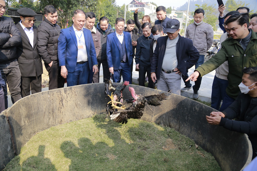 Người dân nô nức tham dự Lễ hội đền Phúc Khánh ảnh 10