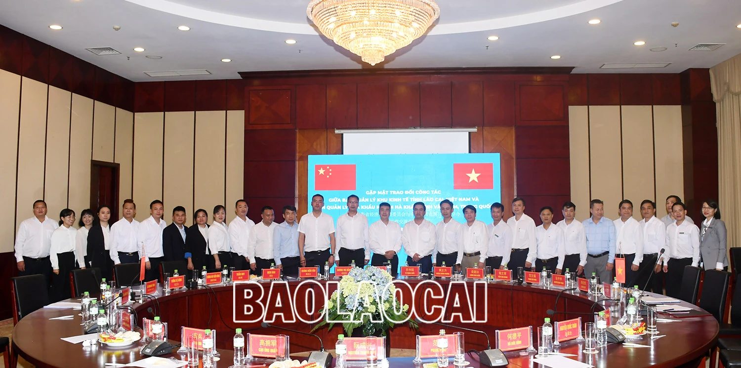 Thực hiện “thông quan thẳng” hàng hóa qua Cửa khẩu Kim Thành ảnh 4