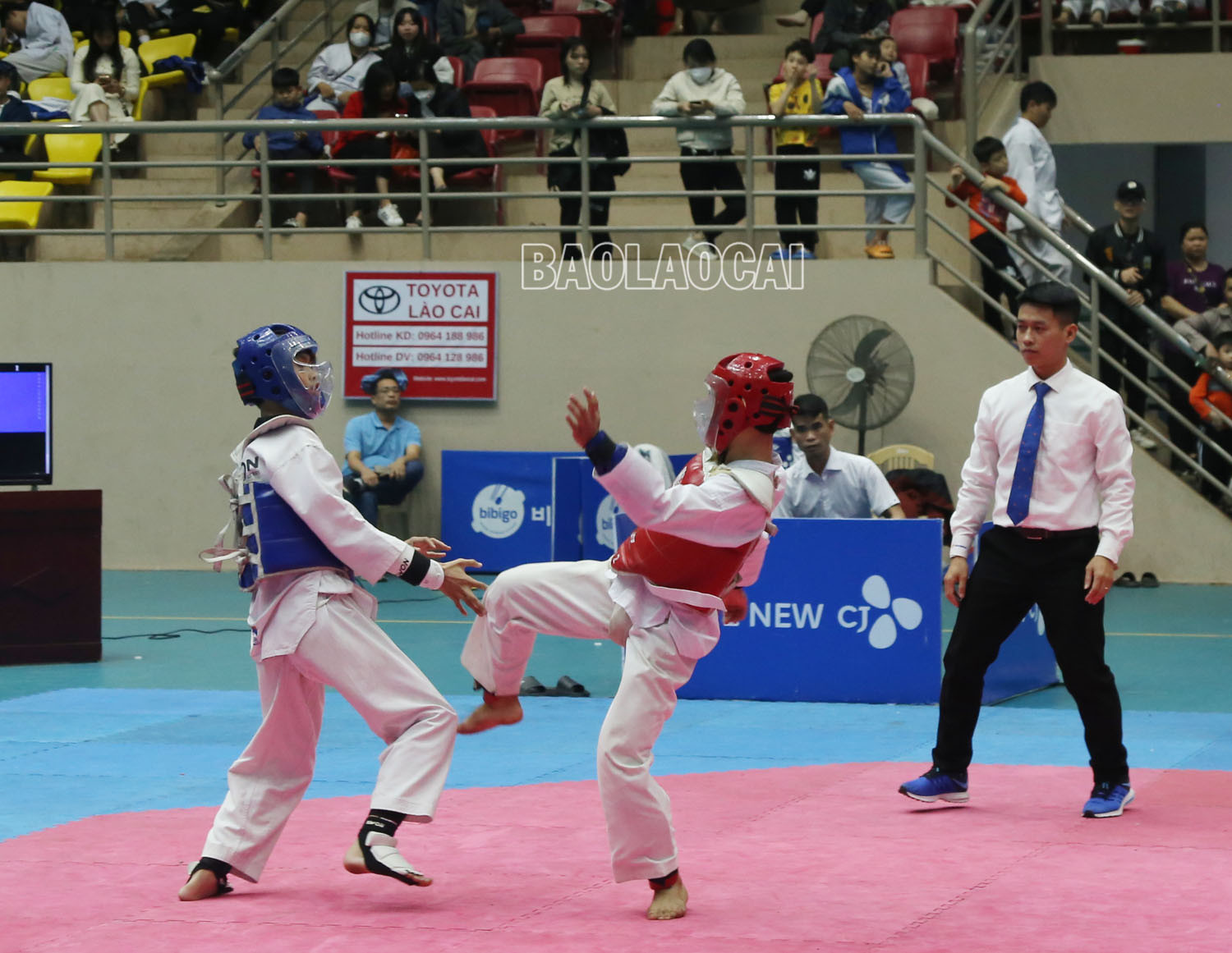 Bế mạc Giải Taekwondo các lứa tuổi trẻ tỉnh Lào Cai năm 2023 ảnh 2