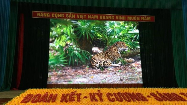 Led Đại Nam - lý giải vì sao Màn hình LED ngày càng được ưa chuộng? ảnh 3 Led Đại Nam - lý giải vì sao Màn hình LED ngày càng được ưa chuộng? ảnh 3