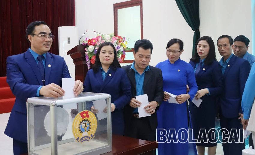 Bầu bổ sung chức danh Phó Chủ tịch Liên đoàn Lao động tỉnh ảnh 4