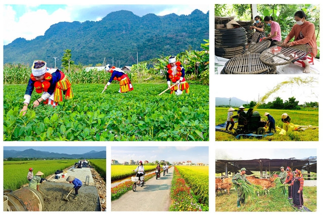 Tháo gỡ khó khăn trong triển khai thực hiện các chương trình mục tiêu quốc gia - Ảnh 1.