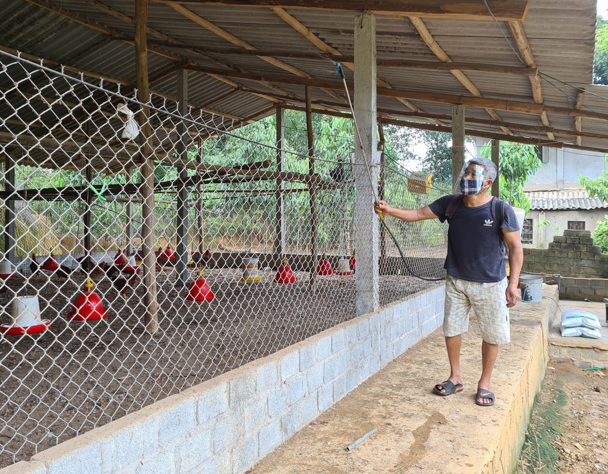 Ngăn chặn vận chuyển trái phép gia cầm, sản phẩm gia cầm nhập lậu từ nước ngoài vào Lào Cai ảnh 1