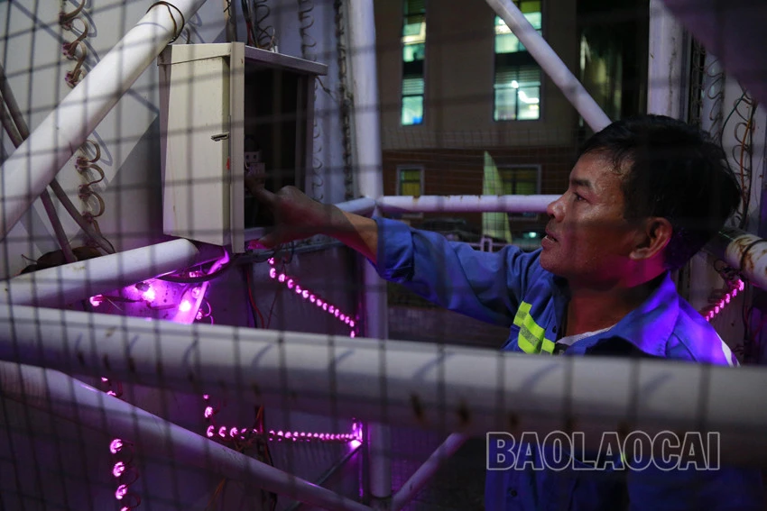 Người dân Lào Cai tắt đèn hưởng ứng Giờ Trái đất năm 2023 ảnh 3