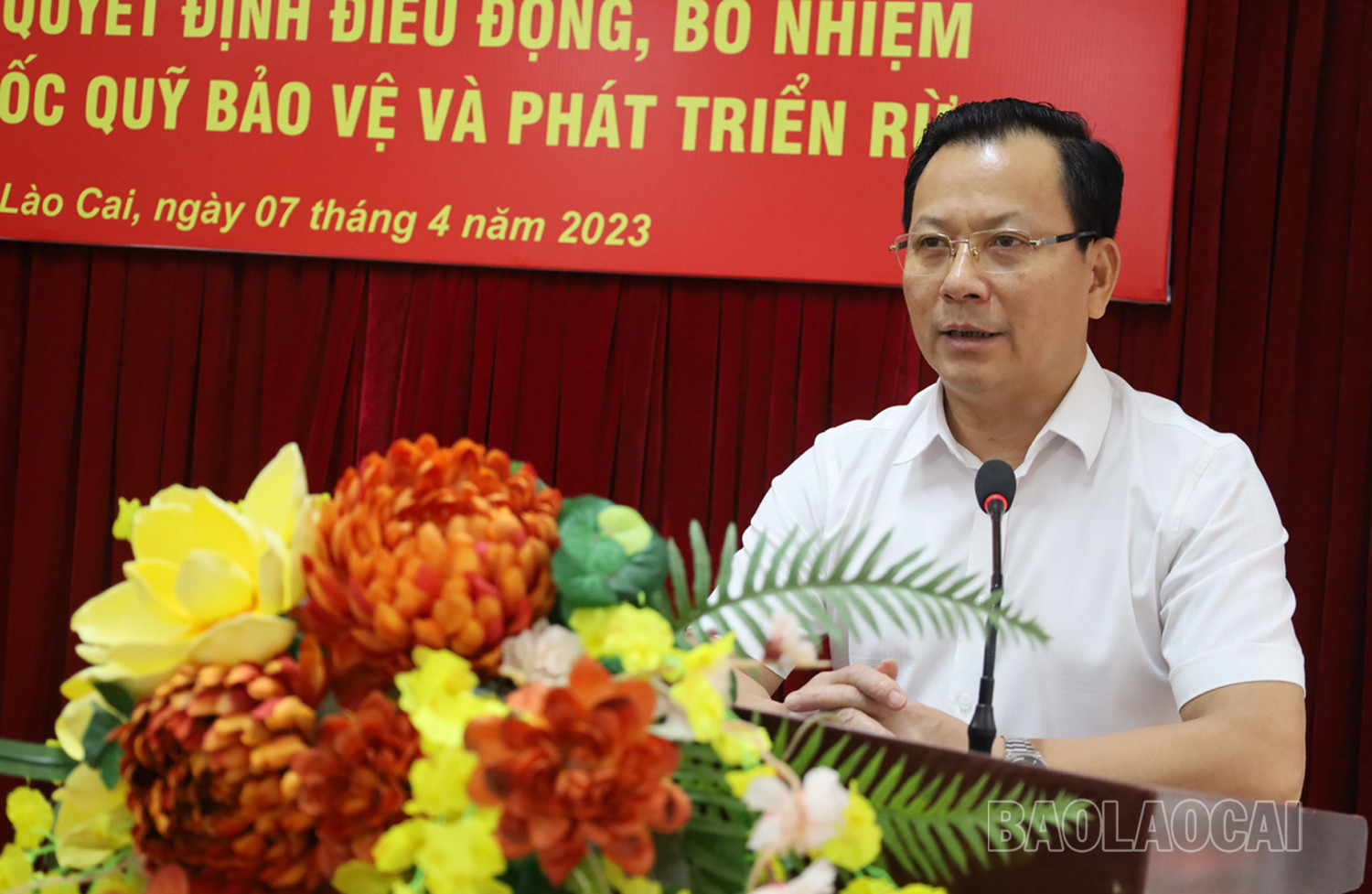 Đồng chí Hoàng Quốc Khánh, Phó Chủ tịch Thường trực UBND tỉnh đã trao quyết định cho hai đồng chí Phó Giám đốc Quỹ Bảo vệ và Phát triển rừng. Phó Chủ tịch Thường trực UBND Hoàng Quốc Khánh phát biểu giao nhiệm vụ cho hai tân Phó Giám đốc Quỹ Bảo vệ và Phát triển rừng tỉnh.