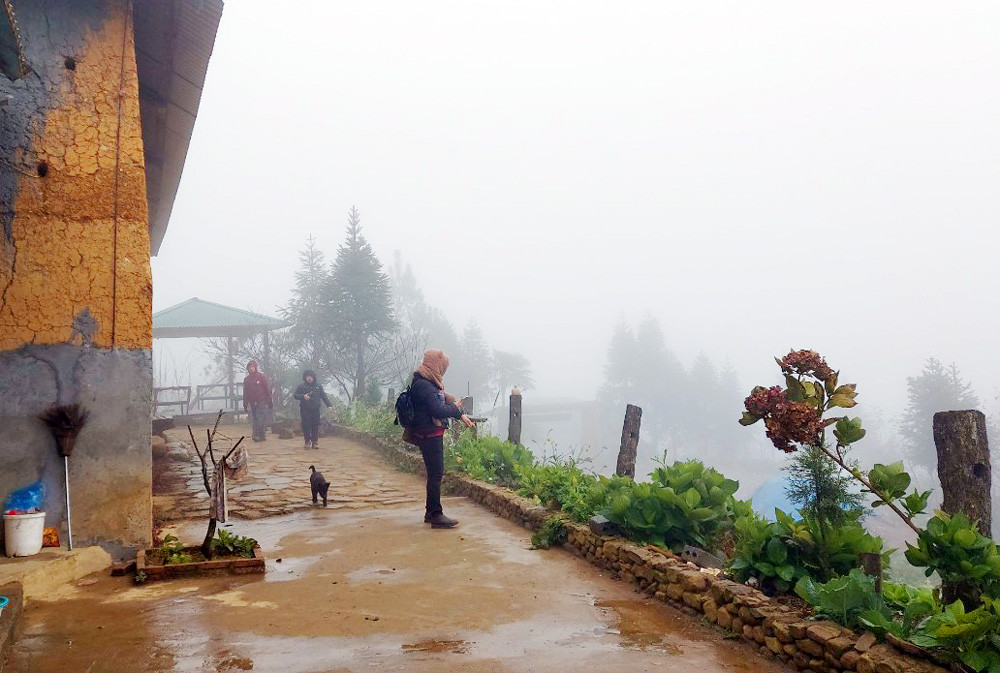 Ngày mùng 7, mùng 8 tháng Giêng Quý Mão 2023, khu vực xã Y Tý khung cảnh mờ ảo bởi sương mù và nhiệt độ giảm thấp chỉ còn 3 - 4 độ C. Trên núi Lảo Thẩn nhiệt độ giảm sâu, xuất hiện băng giá phủ trắng cây cối. Mặc dù trời rét và sương mù nhưng nhiều du khách trong và ngoài tỉnh rất thích thú được trải nghiệm tại Y Tý. Du khách leo núi Lảo Thẩn bất ngờ khi gặp cảnh băng giá trắng xóa ngay những ngày đầu năm mới. Thử cảm giác tay không chạm vào băng ở độ cao 2.800m so với mực nước biển. Bạn trẻ chụp ảnh lưu niệm với băng giá trên núi Lảo Thẩn. Từ ngày mùng 1 tết đến mùng 8 tháng Giêng, xã Y Tý đón khoảng 4.300 lượt khách tham quan, trong đó có khoảng 400 khách leo núi. Các homestay tại Y Tý khởi đầu năm mới với nhiều tín hiệu vui khi lượng khách dần tăng lên. Du khách ăn tối tại homestay Xá Hà Nhì, thôn Lao Chải, xã Y Tý ngày đầu năm mới.