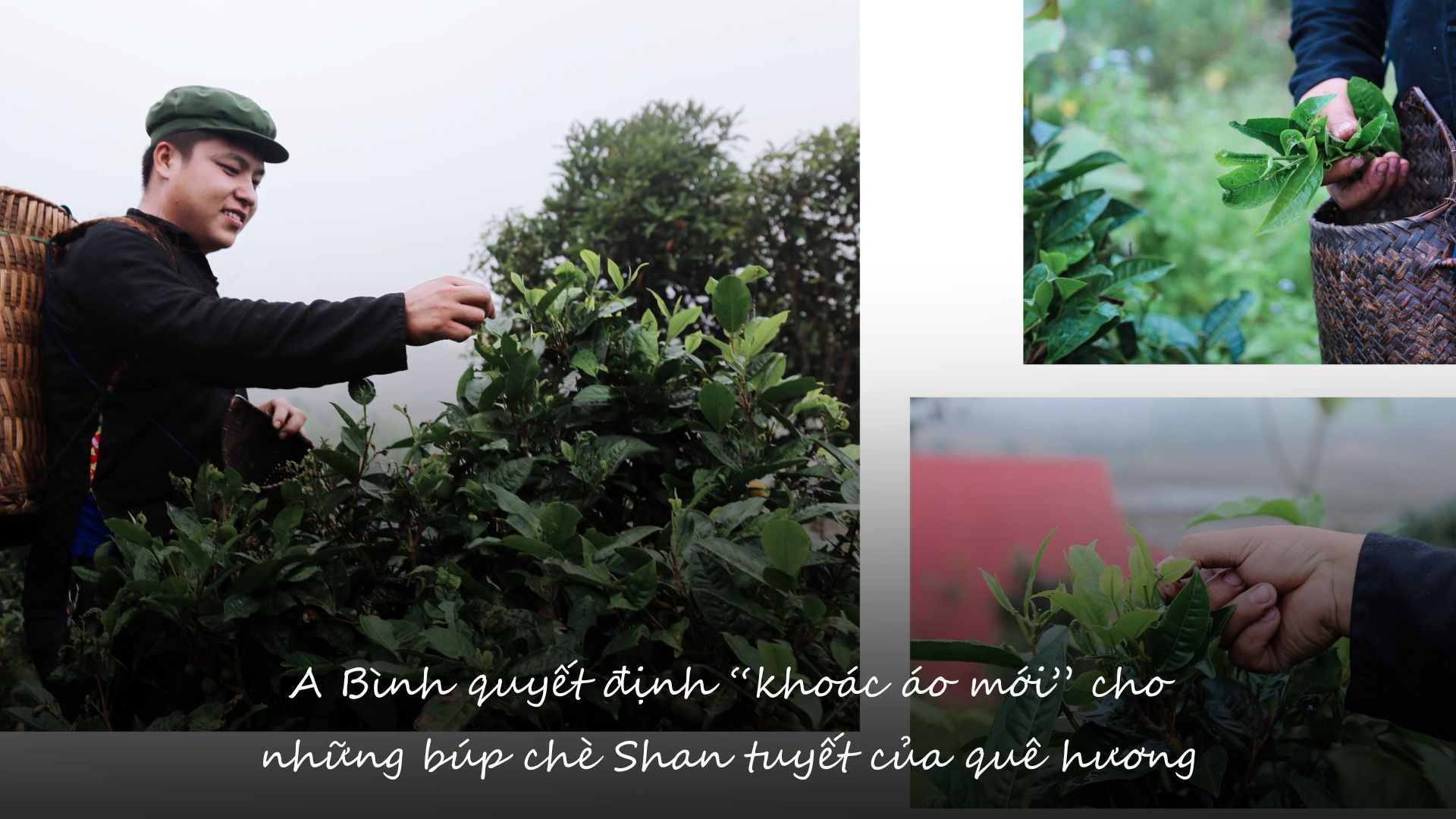 Chàng trai người Tày "thắp lửa" du lịch cộng đồng ảnh 6 Chàng trai người Tày "thắp lửa" du lịch cộng đồng ảnh 6