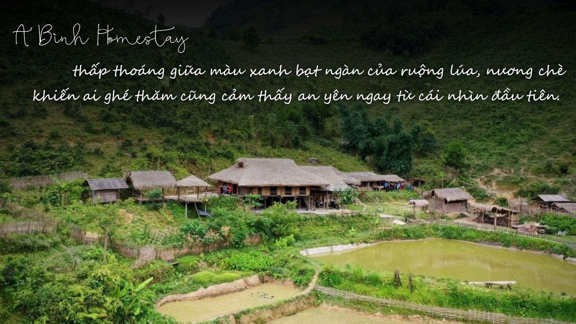 Chàng trai người Tày "thắp lửa" du lịch cộng đồng ảnh 3 Chàng trai người Tày "thắp lửa" du lịch cộng đồng ảnh 3