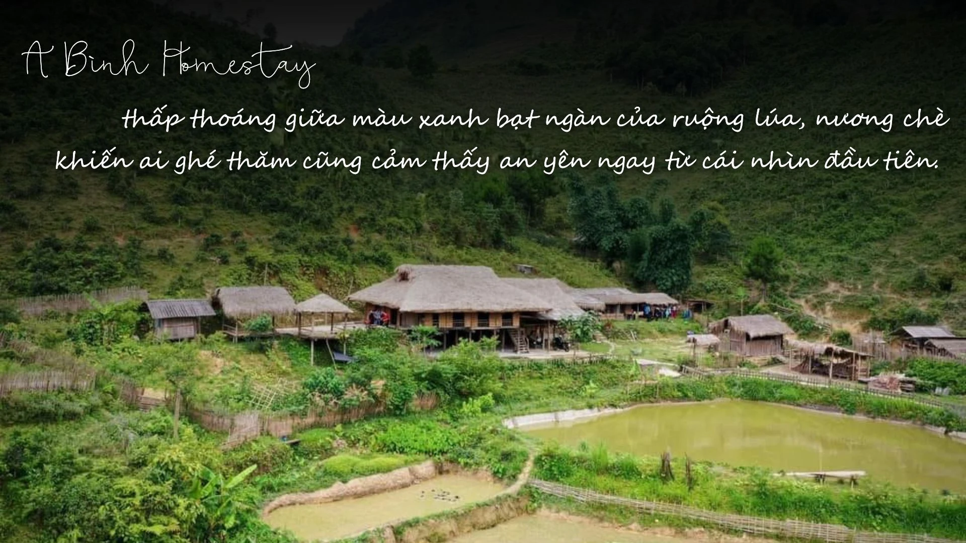 Chàng trai người Tày "thắp lửa" du lịch cộng đồng ảnh 3