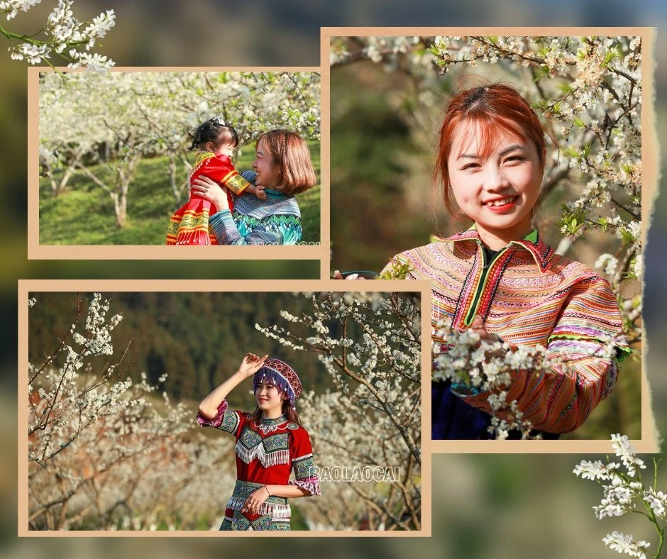 Bắc Hà mùa hoa mận nở tạo nên bức tranh phong cảnh thiên nhiên tuyệt đẹp. Ảnh: Dương Toản Hoa mận bên những nóc nhà của đồng bào người Mông. Trên cao nguyên Bắc Hà hoa mận nở nhiều ở thung lũng Tà Chải, Lầu Thí Ngài và trên vùng cao Bản Phố, Tả Van Chư… Thiếu nữ vùng cao du xuân mùa hoa mận nở. Sắc hoa tinh khôi phủ trắng núi rừng. Vẻ đẹp tinh khôi của hoa mận thu hút hàng nghìn lượt du khách đến chiêm ngưỡng.