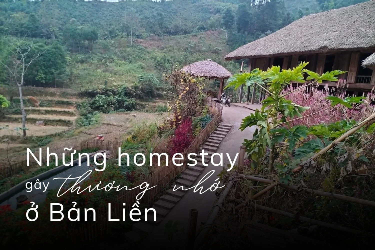 Gửi tình yêu vào những cái tên ảnh 7