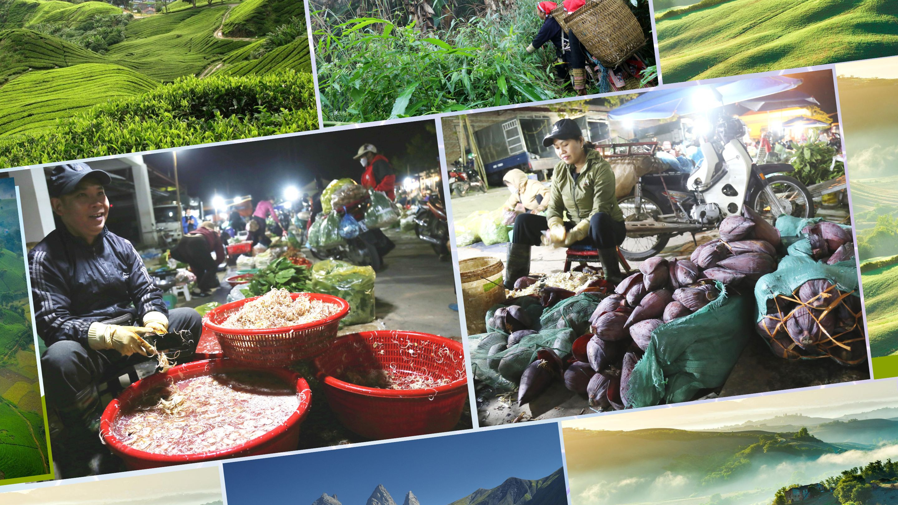 Hoa chuối bán tại chợ đêm Châu Úy, thành phố Lào Cai.