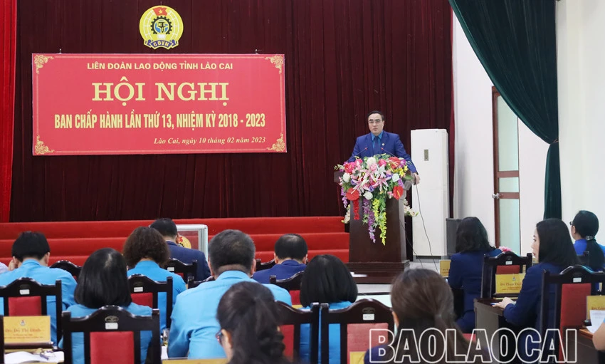 Bầu bổ sung chức danh Phó Chủ tịch Liên đoàn Lao động tỉnh ảnh 1