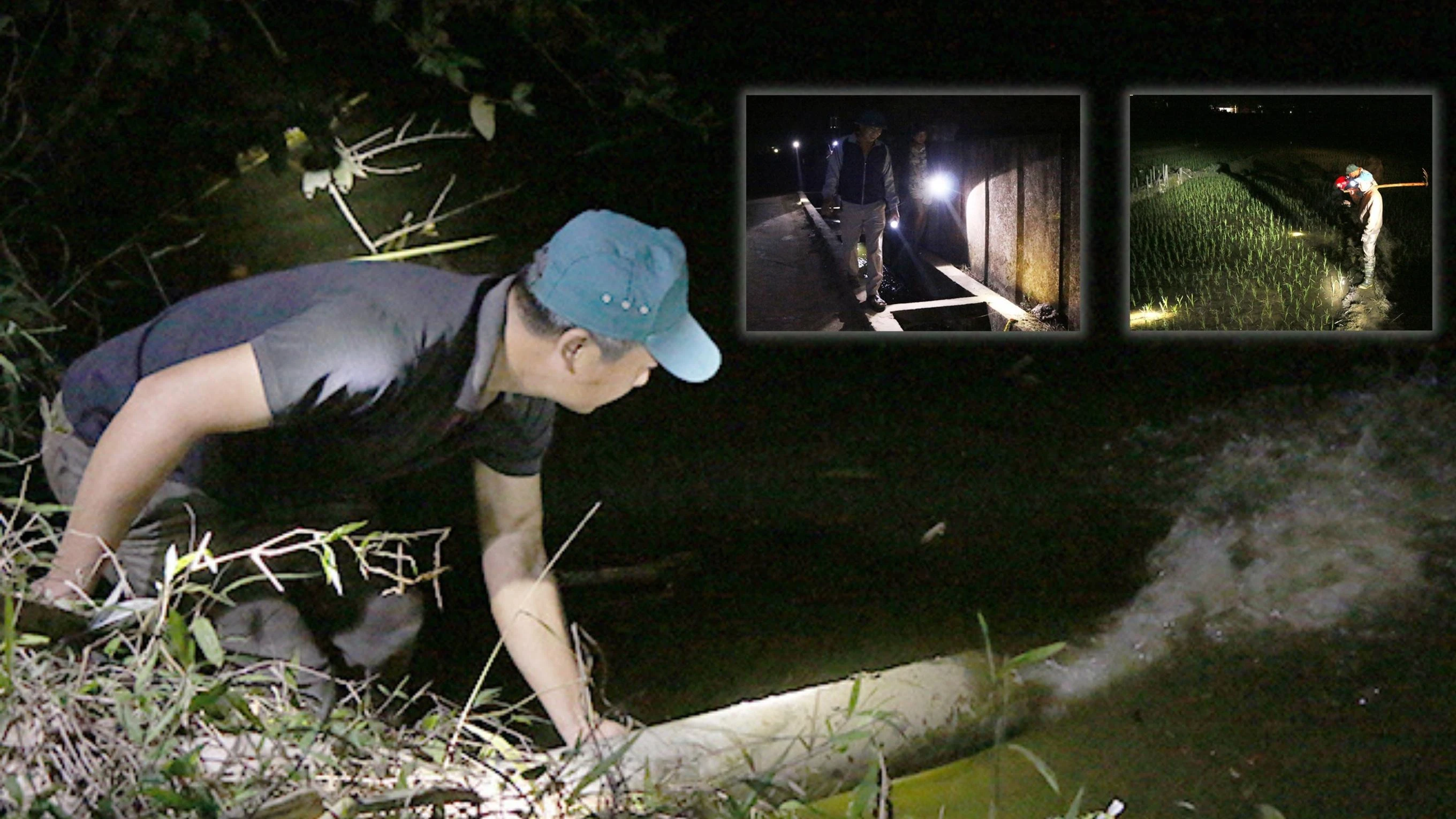 Mùa “chia” nước ảnh 3